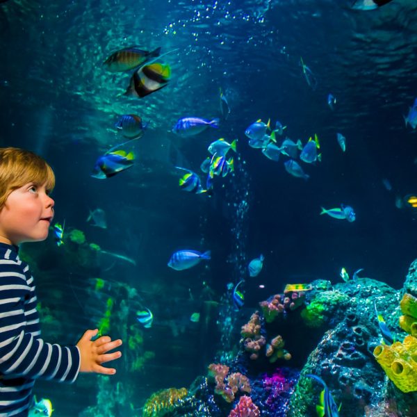 Ausflugstipp: SEA LIFE München